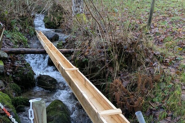 Bachzulauf - KEIN Trinkwasser